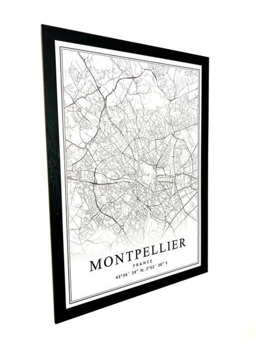 Le Havre De Paix Montpellierain - Terrasse Et Parking Prive Leilighet Eksteriør bilde