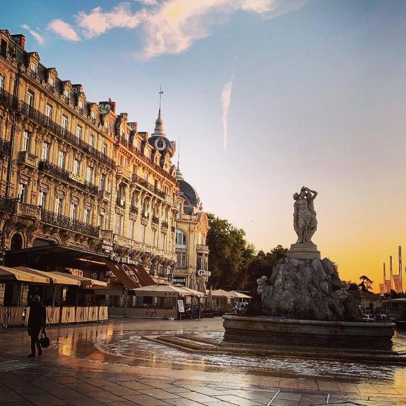 Le Havre De Paix Montpellierain - Terrasse Et Parking Prive Leilighet Eksteriør bilde